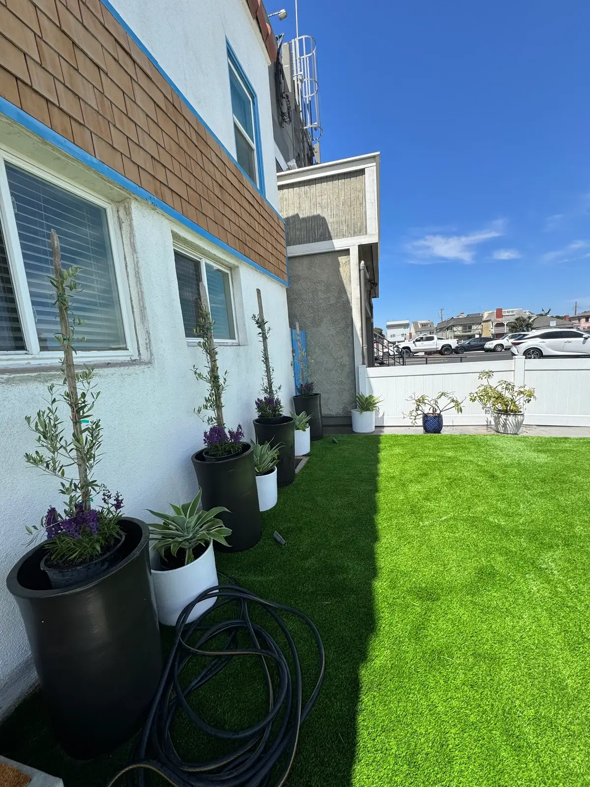 Potted plants arranged along the house