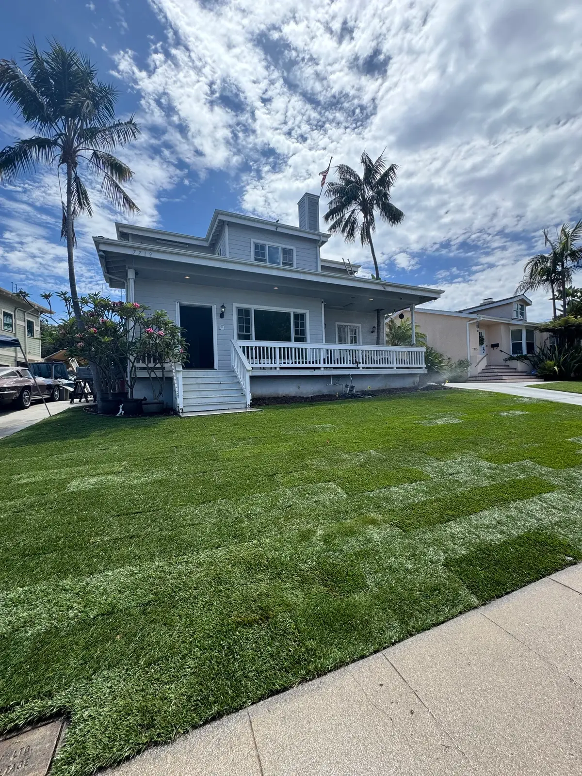 Sod & New Lawn Installation