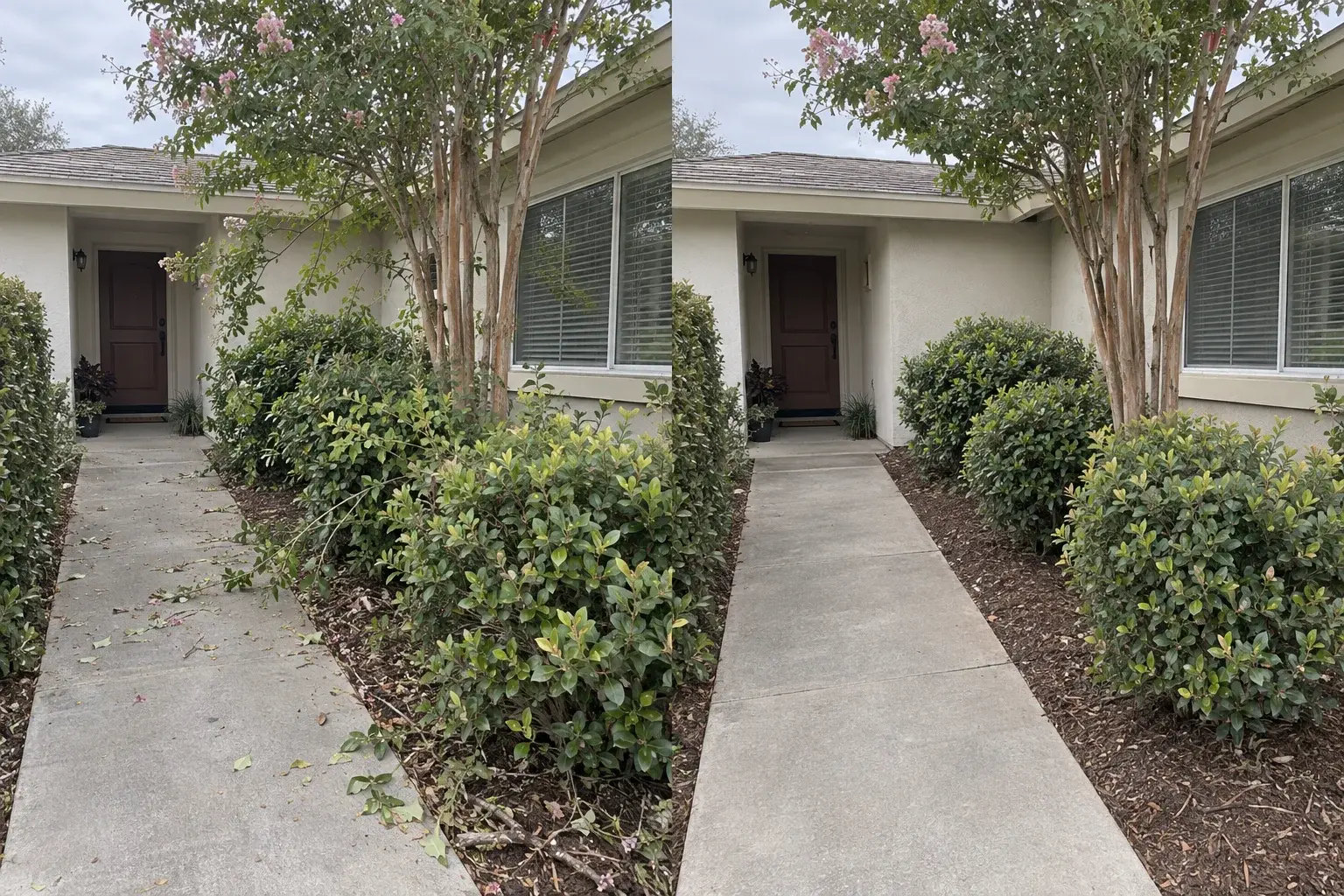 Tree & Shrub Trimming